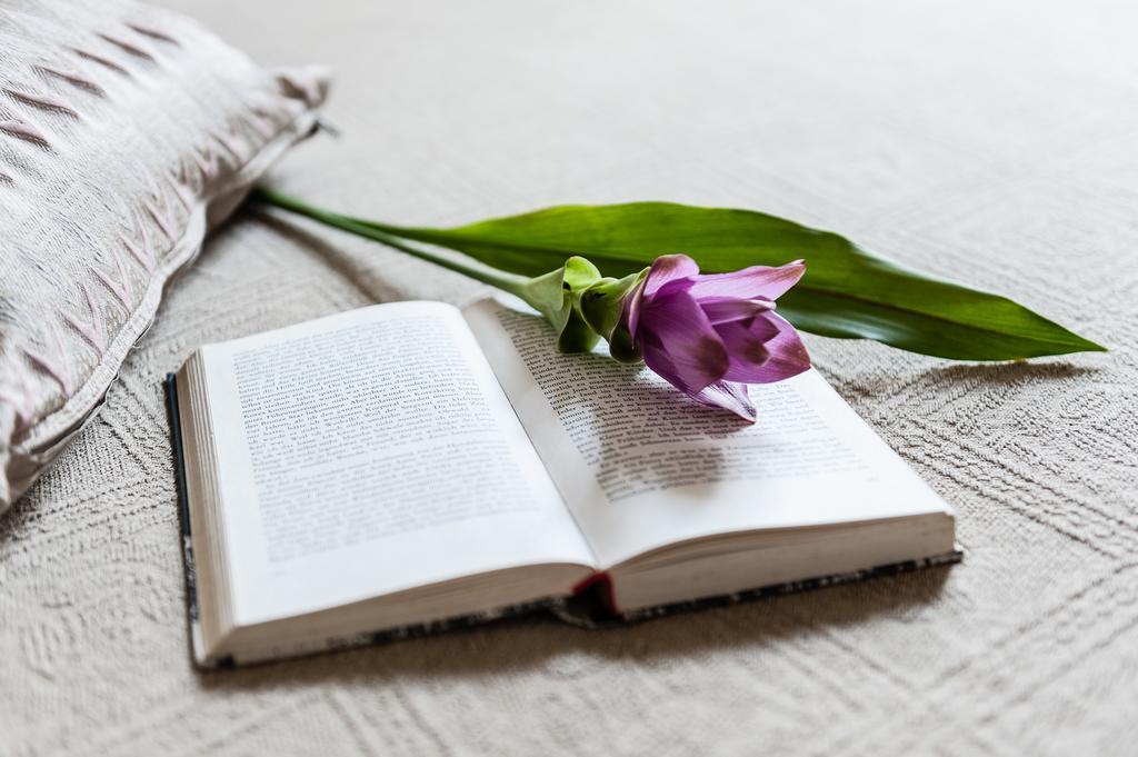 B&B Naturae Cascina Ngoại thất bức ảnh